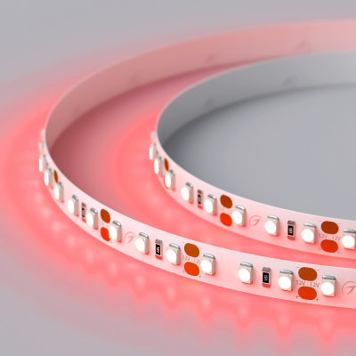 3cbac34d1762496a26168b6f42526fb2